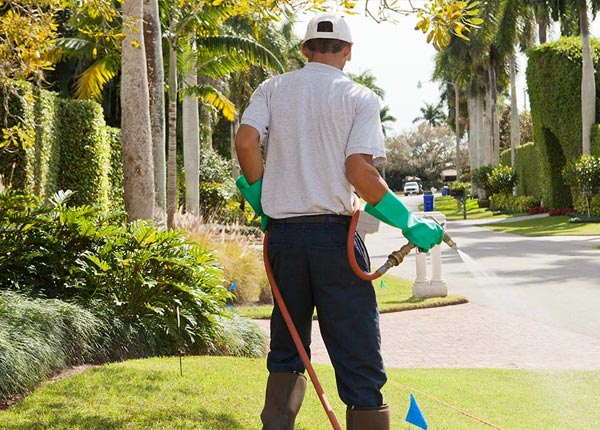 About Wilton AL Pest Control Pros
